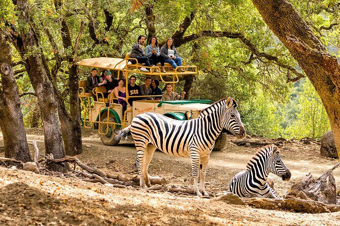 Classic Safari Adventure at Safari West - FAQ