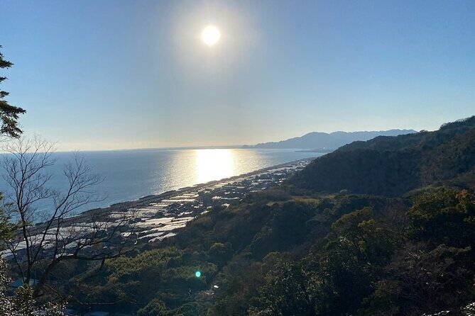 Classic Shizuoka with Mt.Fuji Viewing 1 Day Private Tour - Final Thoughts
