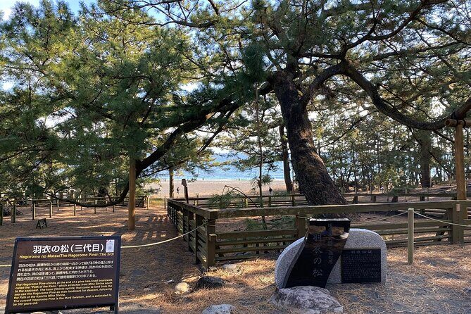 Classic Shizuoka with Mt.Fuji Viewing 1 Day Private Tour - FAQ