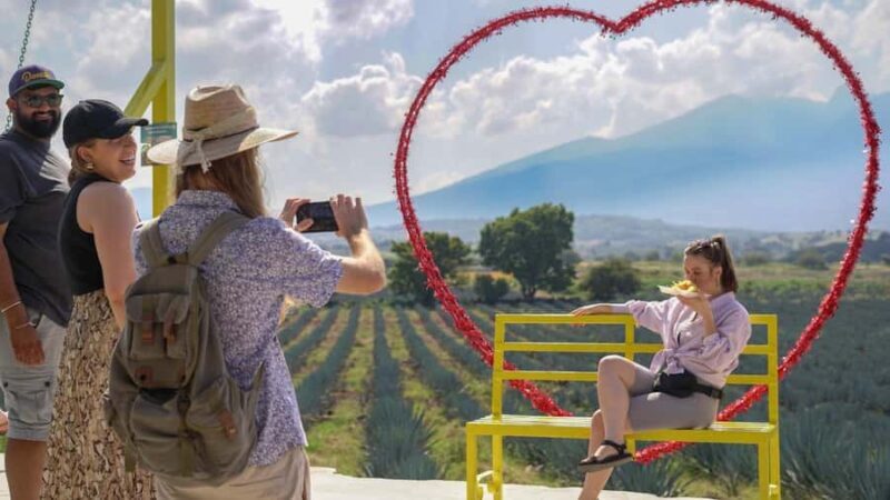 Classic Tequila Route Tour from Guadalajara and a few drinks at El Güero!!! - Who Would Love This Tour?