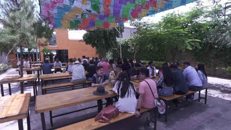 Classic Tequila Route Tour from Guadalajara and a few drinks at El Güero!!! - FAQ