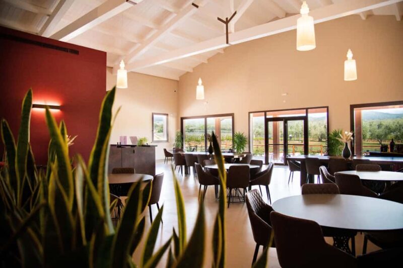 Classic Tour & Monovarietal Wines Tasting - The Experience in Detail