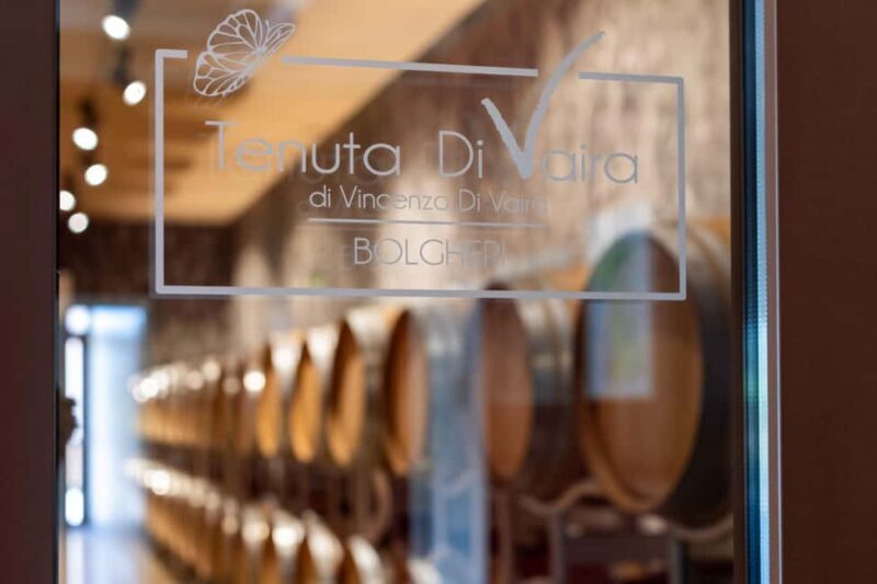 Classic Tour & Monovarietal Wines Tasting - Practical Considerations: Value & Logistics