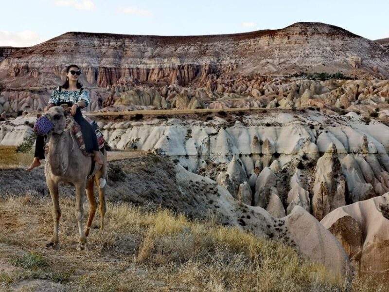 Classic (Vintage) Car & Jeep Safari & Shooting with Camels - What Travelers Say