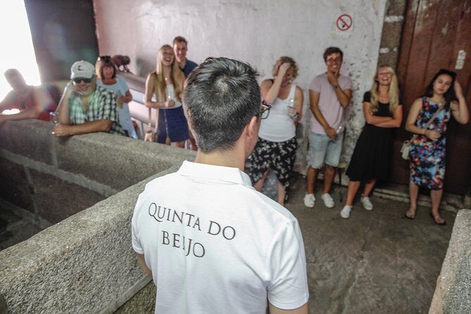 Classic Wine Tasting with GUIDED TOUR - The Experience: An In-Depth Look