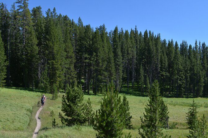 Classic Yellowstone Hike to the Shores of Lake Shoshone (Private - A Closer Look at the Private Yellowstone Hike to Lake Shoshone