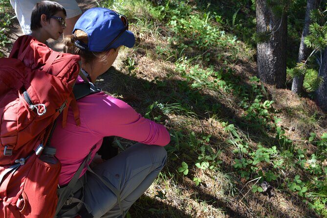 Classic Yellowstone Hike to the Shores of Lake Shoshone (Private - The Value of a Private Guided Yellowstone Hike