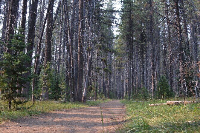 Classic Yellowstone Hike to the Shores of Lake Shoshone (Private - Final Thoughts