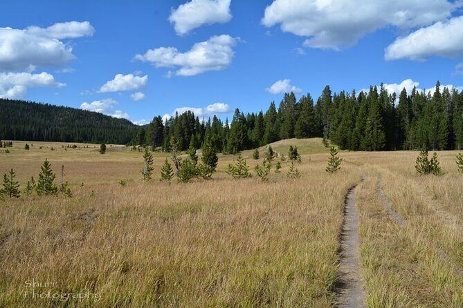 Classic Yellowstone Hike to the Shores of Lake Shoshone (Private - FAQ