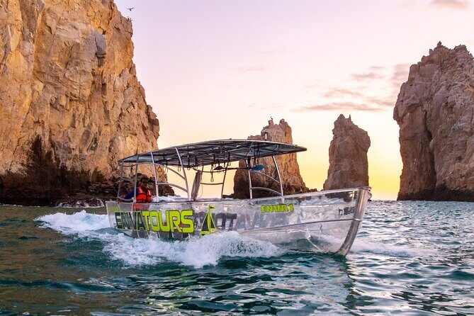 Clear Boat to Cabo Lands End, The Arch and more - Marine Life and Wildlife