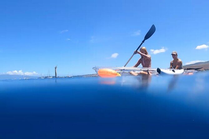 Clear Bottom Glassy Kayak Rental | MAUI | Safe and Stable Kayaks - Who Will Love This Experience?