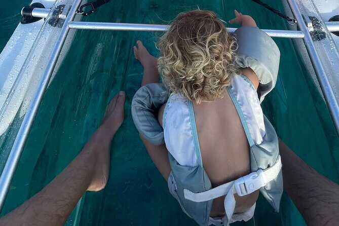 Clear Bottom Glassy Kayak Rental | MAUI | Safe and Stable Kayaks - FAQs for the Maui Glassy Kayak Rental