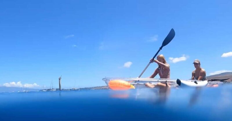 Clear Bottom Glassy Kayak Rental | Safe and Stable Kayaks - What is the Clear Bottom Kayak Experience?