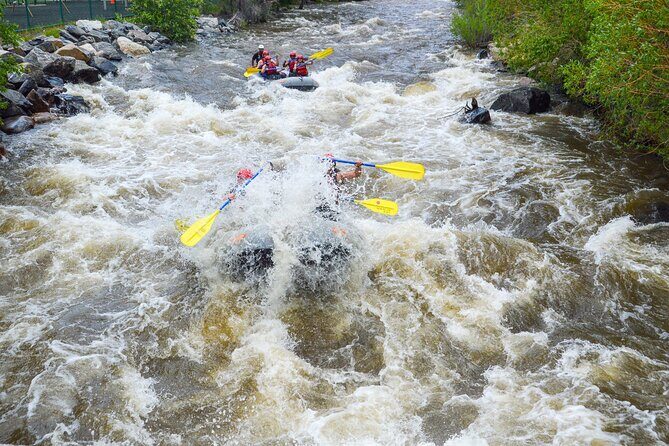 Clear Creek Intermediate Rafting Trip with Lunch - Denver - An Overview of the Experience