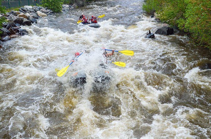 Clear Creek Intermediate Rafting Trip with Lunch - Denver - Final Thoughts: Who Will Love This Tour?