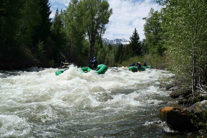Clear Creek Whitewater Rafting Trip: Advanced Challenge - Guides and Safety