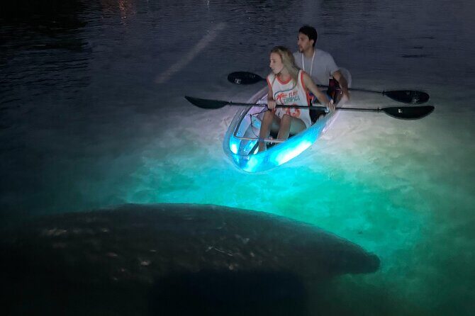 Clear Kayak Manatee Viewing Sunset and Glow Tour of Crystal River - Practical Details and Tips