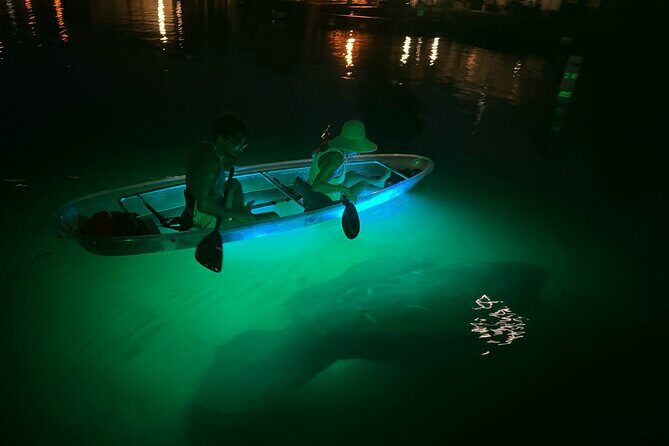 Clear Kayak Manatee Viewing Sunset and Glow Tour of Crystal River - Final Thoughts
