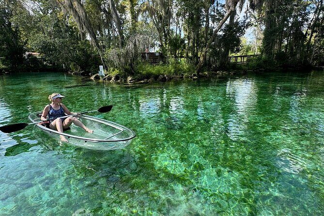 Clear Kayak Spring & Wildlife Tour Crystal River with Free Photos - A Deep Dive into the Experience