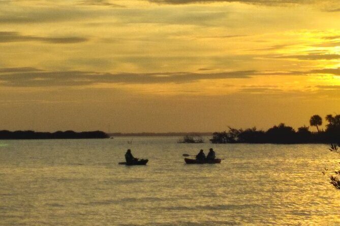 Clear Kayak Sunset Tour - Cocoa Beach - A Close Look at the Experience