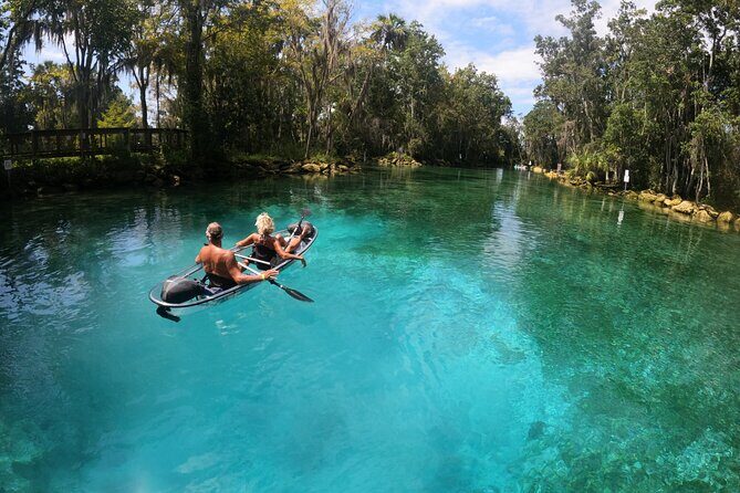 Clear Kayak Three Sisters Springs Sunset and Glow Tour - The Value of This Tour