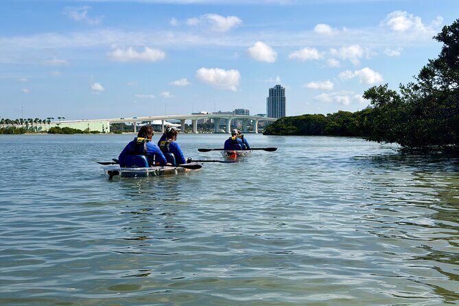 Clear Kayak Tour of Clearwater Beach - A Detailed Breakdown of the Itinerary
