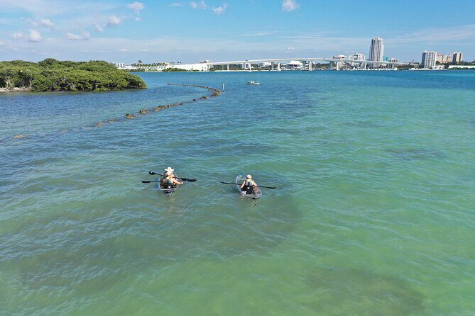 Clear Kayak Tour of Clearwater Beach - What Reviewers Say