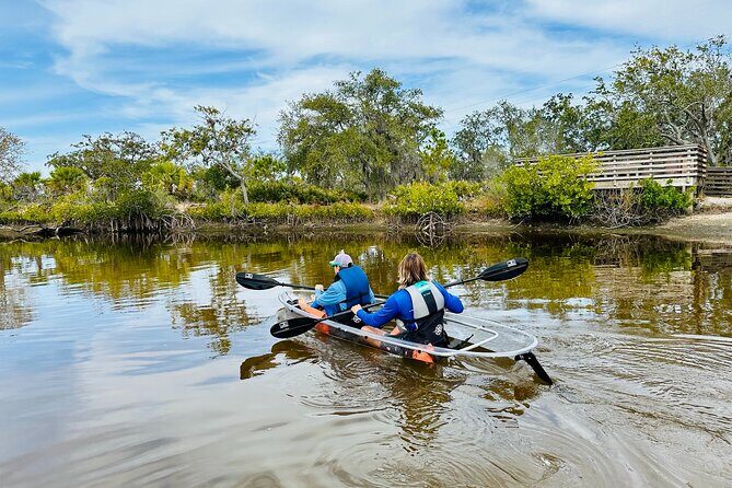 Clear Kayak Tour of Tarpon Springs Sponge Docks & Mangroves - The Experience of Paddling in Transparent Kayaks