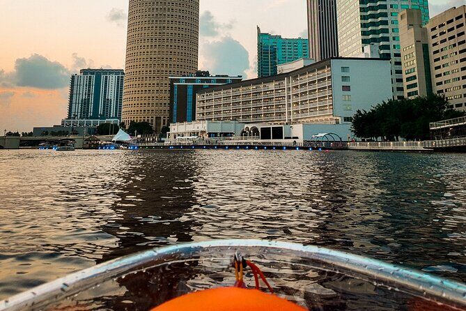 Clear Kayaking Glow Tour in Tampa Riverwalk - The Authentic Review Perspective