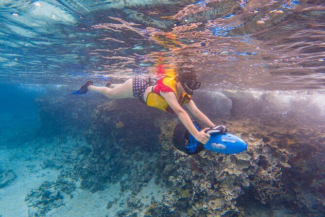 Clear Kayaking, Sea Scooters Adventure - Why This Tour Ranks Highly with Travelers