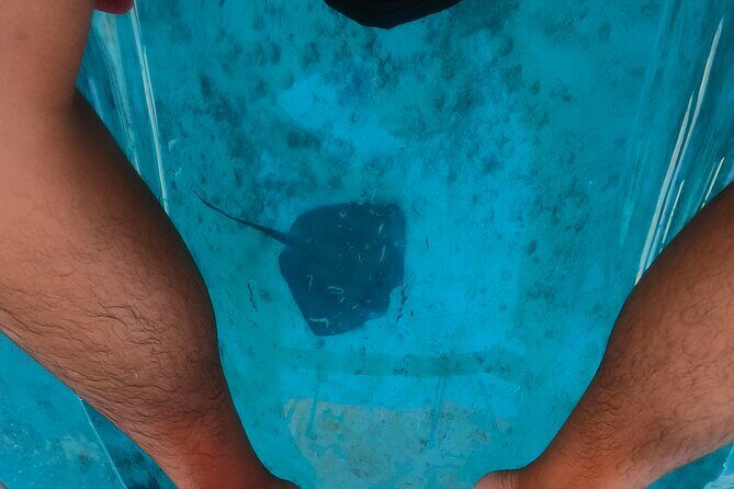 Clear Kayaking, Sea Scooters Adventure - The Practical Aspects: What You Need to Know