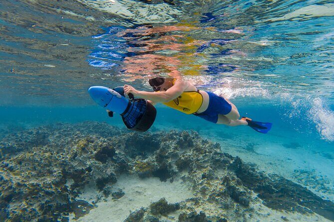 Clear Kayaking, Sea Scooters Adventure - Summary: Is It Worth It?