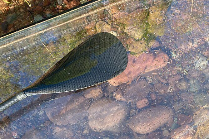 Clear Paddleboard Rentals for Glacier Park - What to Expect: The Experience in Detail