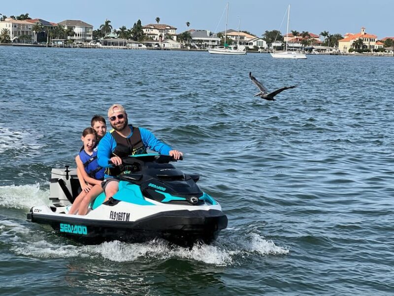 Clearwater: 1 Hour Jetski Dolphin Tour with Guide - The Experience Breakdown