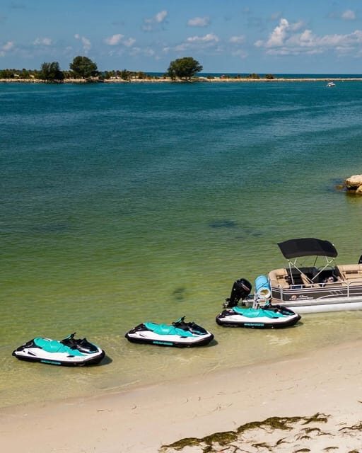 Clearwater: 1 Hour Jetski Dolphin Tour with Guide - Who Is It Best For?