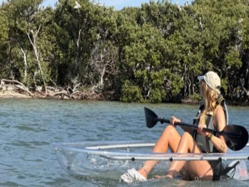 Clearwater Beach: Clear Kayak Tour with an ecotour guide - Key Points