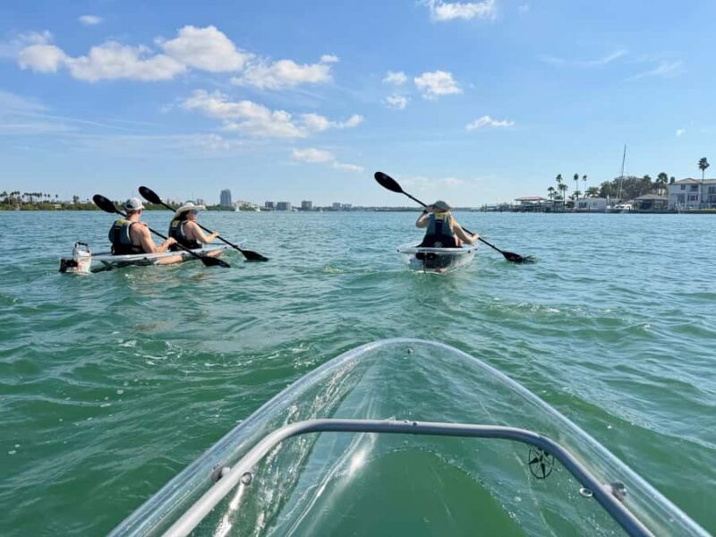 Clearwater Beach: Clear Kayak Tour with an ecotour guide - Exploring the Bird Preserve Island