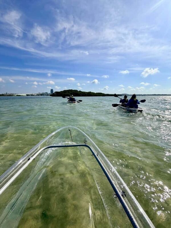 Clearwater Beach: Clear Kayak Tour with an ecotour guide - What Sets This Tour Apart
