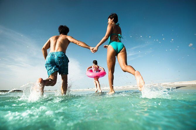 Clearwater Beach Day Trip from Orlando with Upgrade Options - Engaging Water and Marine Experiences