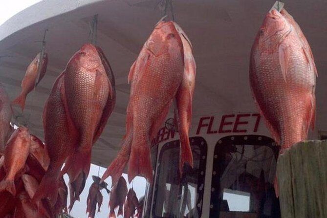 Clearwater Beach Day Trip from Orlando with Upgrade Options - Final Thoughts: Who Is This Tour Best For?