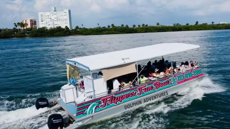Clearwater Beach: Dolphin Excursion - Flippers Fun Boat - An Introduction to the Clearwater Beach Dolphin and Sunset Cruise