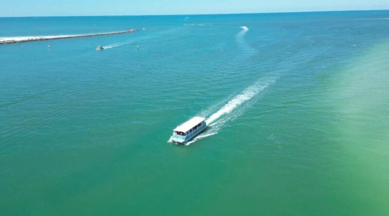 Clearwater Beach: Dolphin & Island Sandbar Cruise - The Experience in Detail