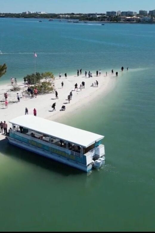 Clearwater Beach: Dolphin & Island Sandbar Cruise - The Reviews Tell the Real Story