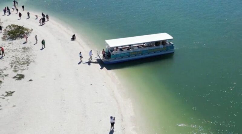 Clearwater Beach: Dolphin & Island Sandbar Cruise - Who Should Consider This Tour?