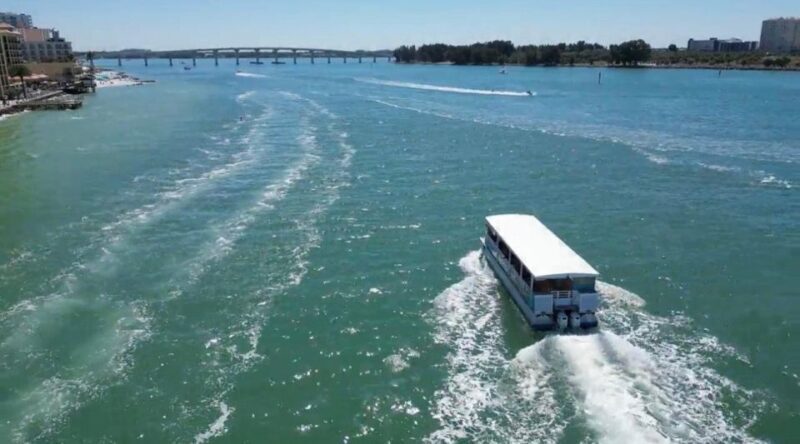 Clearwater Beach: Dolphin & Island Sandbar Cruise - Final Thoughts