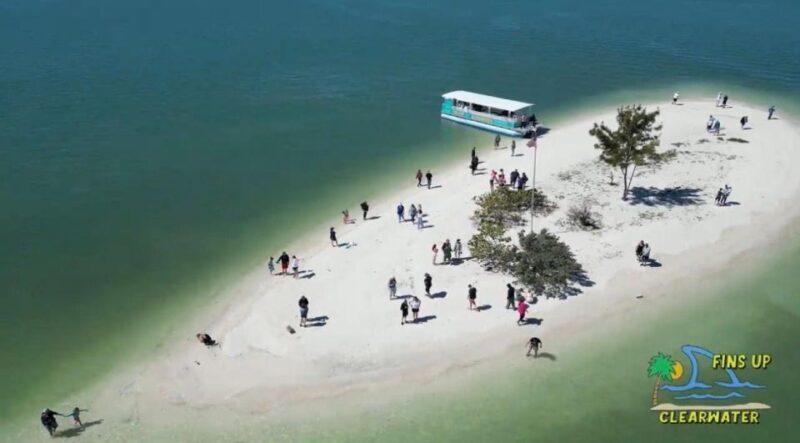 Clearwater Beach: Dolphin & Island Sandbar Cruise - FAQs