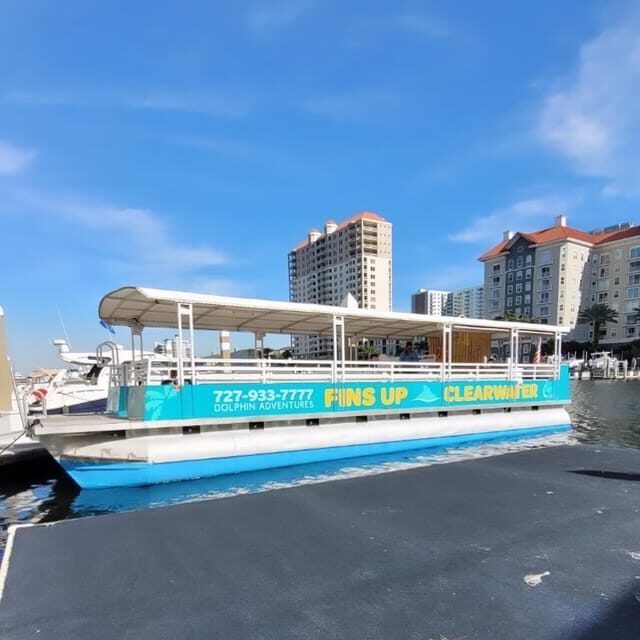 Clearwater Beach: Sunset and Harbor Lights Cruise - The Experience in Detail
