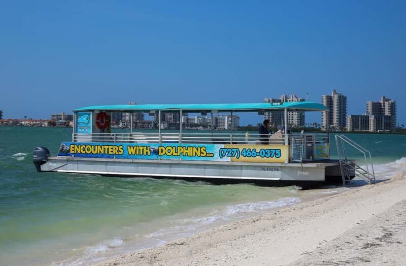 Clearwater: Dolphin Cruise with an Island Adventure - Key Points