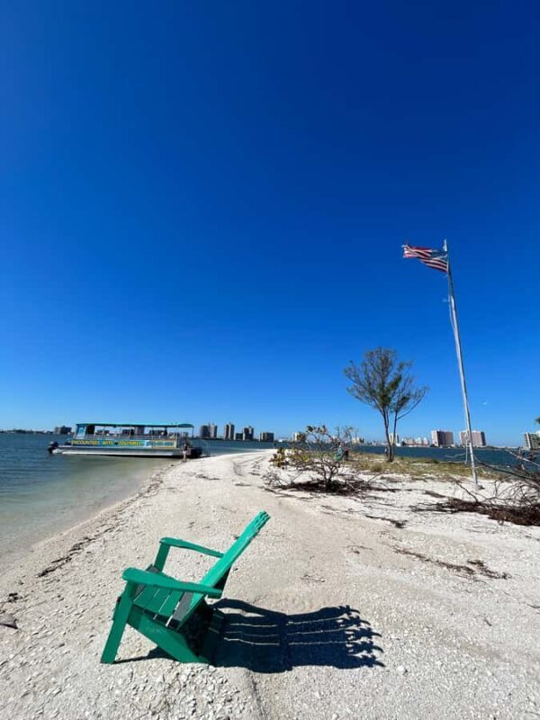 Clearwater: Dolphin Cruise with an Island Adventure - The Sum Up: A Relaxed, Authentic Gulf Coast Experience