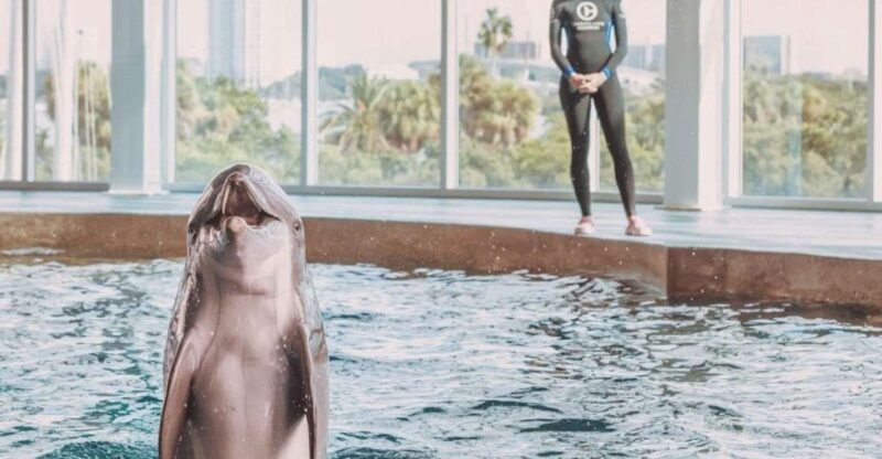 Clearwater: Eco-Certified Marine Aquarium General Admission - Final Thoughts: Who Will Love This Experience?